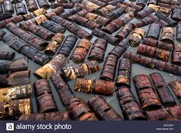 Image result for sago in sarawak