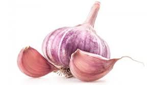 Image result for CỦ TỎI TÍM