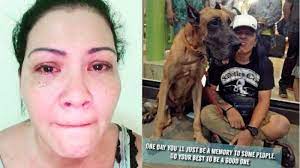 Meski belum rampung dalam membuat. Kasus Anjing Kesayangan Melanie Subono Merembet Ke Sejumlah Kasus Tribunnews Com Mobile