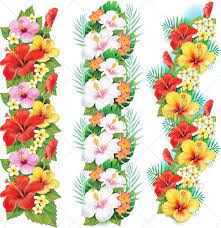 Garland Of Hibiscus Flowers Flower Border Vector Flowers Flower Art
