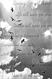 Bird Bird Bird Bird Is The Word Lyrics Birds Imagine Dragons Wallpaper Capa De Caderno Embrulhos Gaivota