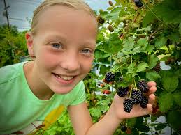 The Cleo Bailey Experiment...