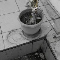 Get their location and phone number here. Jabatan Tanah Dan Galian Perlis Kangar Perlis