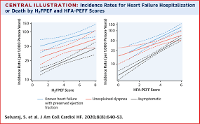 Image result for H2FPEF Score