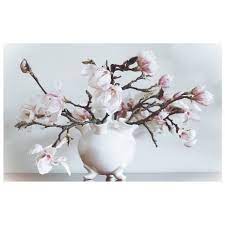Magnolia Branches In A Tulip Vase Tulips In Vase Magnolia Branch Vase With Branches