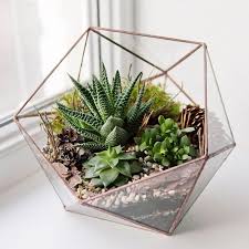 Whichever style you choose, building a terrarium is a fun way to display small plants, demonstrate an ecosystem, or protect vulnerable plants. 12 Tips For Making A Diy Terrarium How To Build A Terrarium