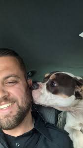 Lion Statues at Frat House in Campus Area