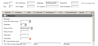 Ausgestellt wird der mutterpass ab der offiziellen feststellung der schwangerschaft. Ig Elektronischer Mutterpass Hl7wiki