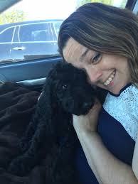 English bulldog maximus is very spoiled