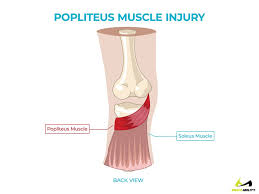 Maybe you would like to learn more about one of these? Pain Behind Knee Why It Hurts In Back Of Or Under Your Kneecap