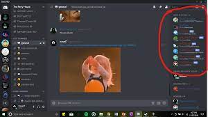 Play, skip, queue, np,filters and 8 more! Koya Bot Discord Nsfw Commands