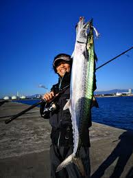 四日市 沖堤防 霞一文字 今行くならシラス対策を 釣具のイシグロ 釣り情報サイト