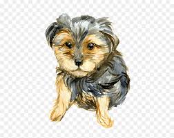 Yorkie Clipart Yorkshire Terrier Hd Png Download Vhv Kindpng provides large collection of free transparent png images. yorkie clipart yorkshire terrier hd