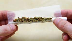 For a conical roll, start rolling the paper at the filter side of the joint, making sure that the open end's paper is held slightly higher as it's rolled into the back side of the sheet. Best Ways To Roll A Joint Growdiaries