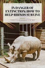 In Danger Of Extinction Help Rhinos Before It S Too Late Thestylejungle Lifestyle And Travel Blog Travel Blog Travel Sustainable Travel