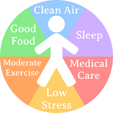 At first, these small changes might not seem that effective. Healthy Habits Journey Sickness To Health