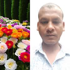 Bonsai tree with peony flower