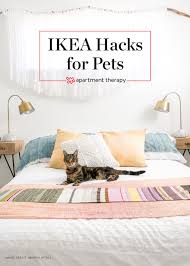 9 Stylish Ikea Hacks Your Cat Will Love Ikea Hacks For Cats Cat Apartment Ikea Cat