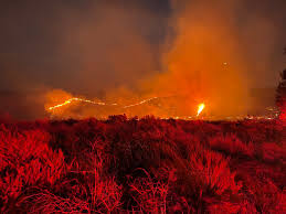 Fire perimeter and hot spot data: 2021 California Wildfires Wikiwand