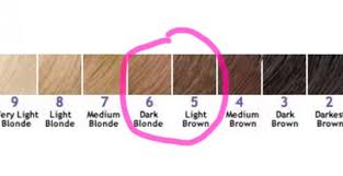 Blonde hair is more common in children than adults, as many. Dark Blonde Vs Light Brown I Ll Help You Choose The Best Color For Your Hair
