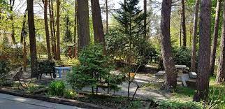 Am walde, rosengarten · haus · einfamilienhaus. Haus Am Walde Burgwedel Restaurant Bewertungen Telefonnummer Fotos Tripadvisor