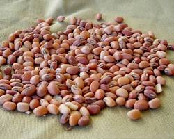 Image of Iron and Clay Cowpea