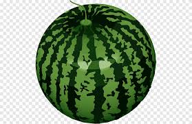 Maybe you would like to learn more about one of these? Fruit Drawing Vegetable Sketch Melon Food Tomato Png Pngegg