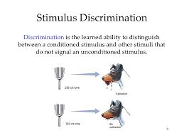 Classical Conditioning