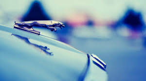 The best quality and size only with us! Jaguar Car Full Hd Wallpaper Download