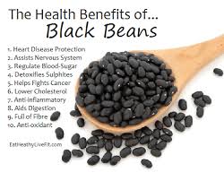 The Health Benefits Of Black Bean Eating Healthy Living Fit Food Health Benefits Nutrition Healthy Benefits