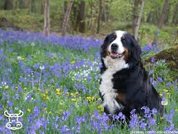 Die waage kann sie auftauen und nebenbei von ihr geldzählen lernen. Welches Sternzeichen Passt Zur Waage Frau Unamivec