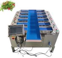 SUS304 semi auto weighing machine mushroom vegetable linear ...