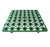 Green Roof Systems With Drainage Plates.