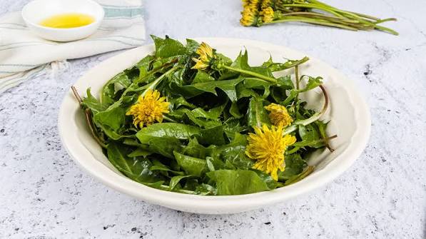Dandelion Salad