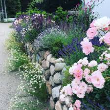 Bild Konnte Enthalten Pflanze Blume Baum Im Freien Und Natur Garden Design Amazing Gardens Beautiful Gardens