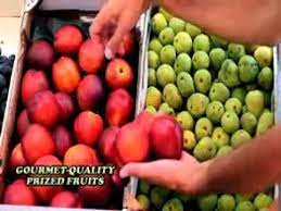 While it can be as simple as prepping and seasoning an assortment of fruit with citrus juice and sugar, creative these juicy salads are too delicious to resist. Fruit Salad Tree Reviews Too Good To Be True