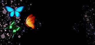 Colorful Butterfly Background Photos Vectors And Psd Files For Free Download Pngtree You can download free butterfly png images with transparent backgrounds from the largest collection on pngtree. colorful butterfly background photos