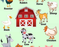 This represents perhaps the most complete picture of the most common names in the united states. 50 Animals Name Detailed Animals Names List English Grammar Here
