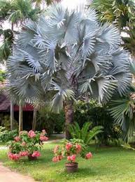 Pin On Nature Naturally