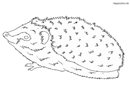 Diese website 100% sicher für kinder. Igel Malvorlage Kostenlos Igel Ausmalbilder