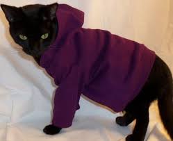 Knitting Patterns Hoodie Not Usually A Fan Of Dressing Up Animals But For A Hoodie For Cats I 39 Ll Make An Excep Cat Clothes Cat Sweaters Pet Clothes