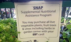 You cannot use your food supplements to buy hot foods, alcohol, cigarettes, pet food, paper products, medicine, or household supplies. Food Stamp And Snap Fraud Fraud Guides
