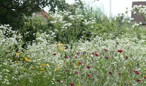 See what's going on at grosmont station and the 1:49 hill climb up to goathland station with our live webcams. Tv Gartner Davit Arican Aus Moers Mehr Stauden Weniger Rasen
