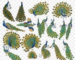 Also included is the quilt pattern and directions, and the color guide. Embroidery Peafowl Cross Stitch Feather Handicraft Png 1024x816px Peafowl Animal Cross Stitch Embroidery Feather Download Free