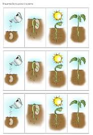 Projet Tous Au Jardin 1 2 3 Dans Ma Classe A Moi Jardinage Maternelle Jardinons A L Ecole Activites Printemps Maternelle