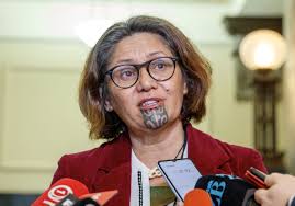 Darleen Tana says Green Party broke its constitution by asking her to  resign