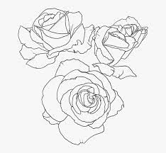 Check spelling or type a new query. Rose Lineart Transparent Rose Line Art Hd Png Download Transparent Png Image Pngitem