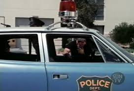 Milky Cat Dmc 25 Hikaru Aoyama The One Pinter Special !!EXCLUSIVE!!