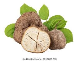 Image result for Pueraria