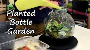 How to make a bottle garden video. How To Make A Retro Planted Bottle Garden Youtube